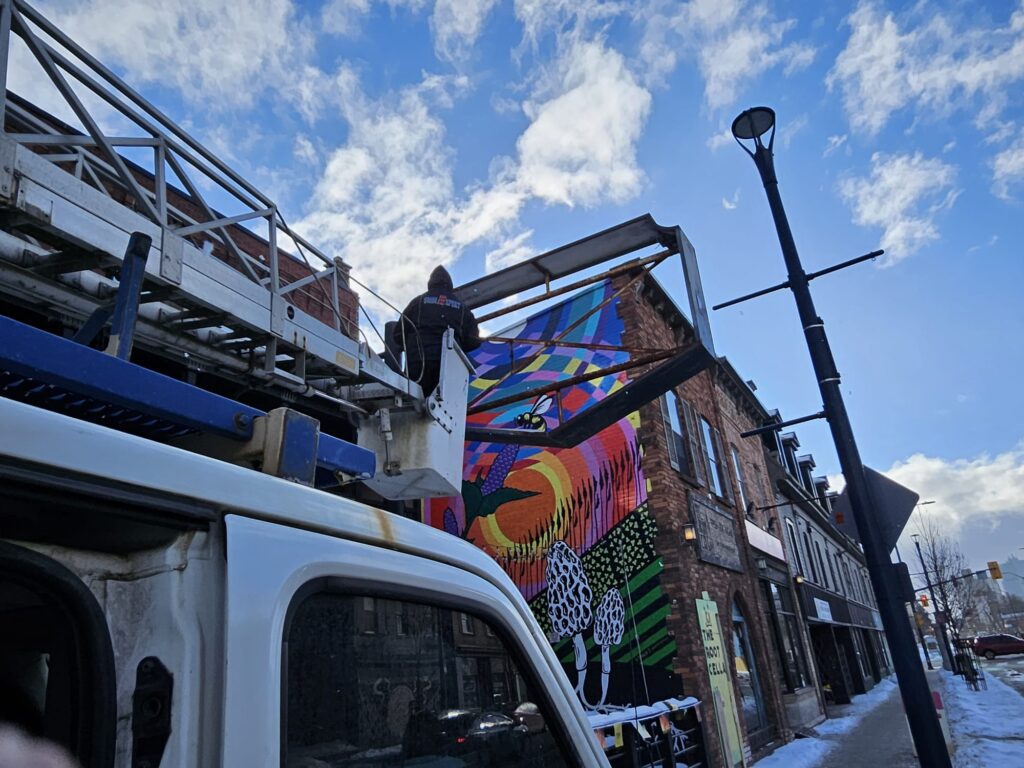 LED strips installation, High Street, London, Ontario